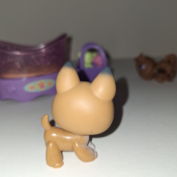 2007 littlest PetShop - Picture 11 of 13